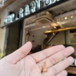 Westie Charm - Playful West Highland White Terrier Dog Charm for Bracelet or Necklace photo review